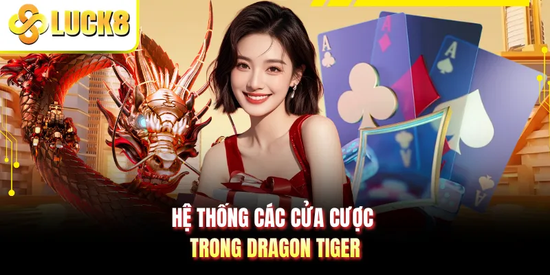 Hệ thống các cửa cược trong Dragon Tiger
